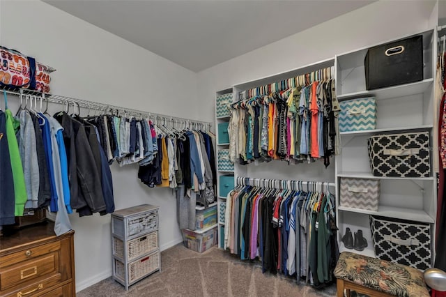 spacious closet with carpet