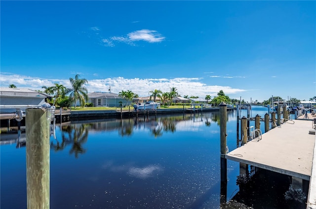 dock area with a water view