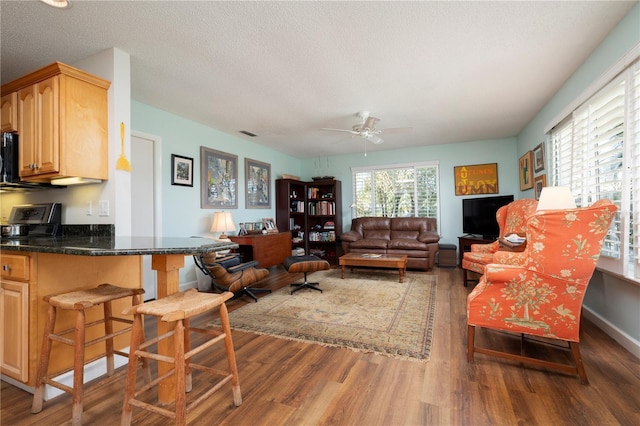 living room with ceiling fan, dark wood-type flooring, and a textured ceiling