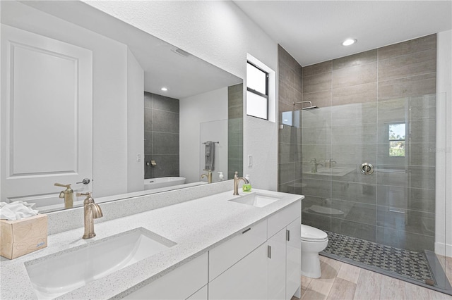 bathroom with a shower with door, vanity, and toilet