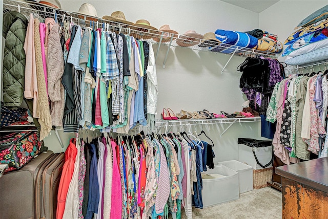 spacious closet featuring carpet floors