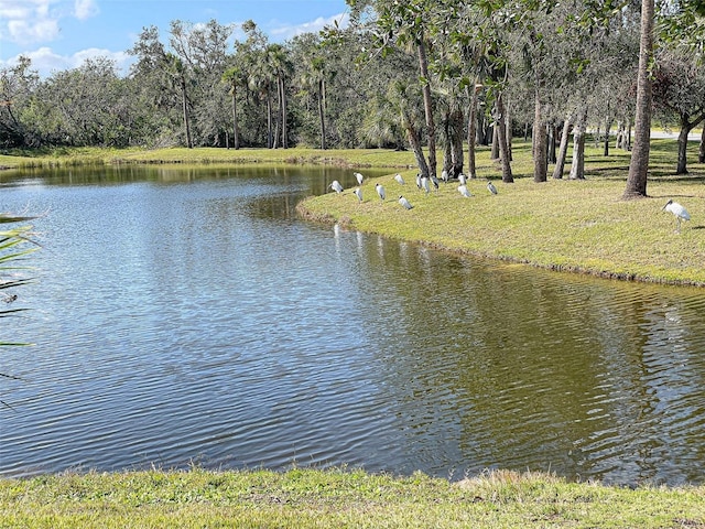 water view