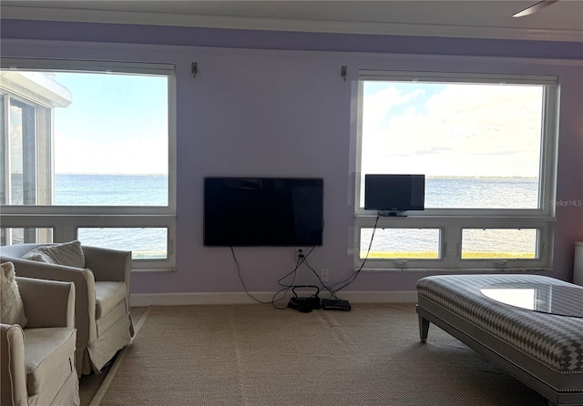 bedroom with light colored carpet