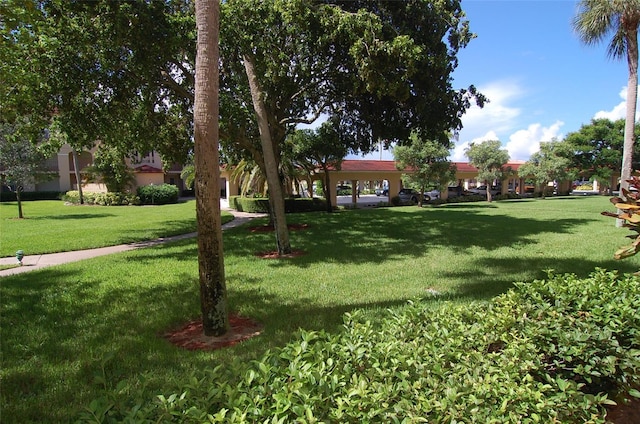 view of property's community featuring a yard