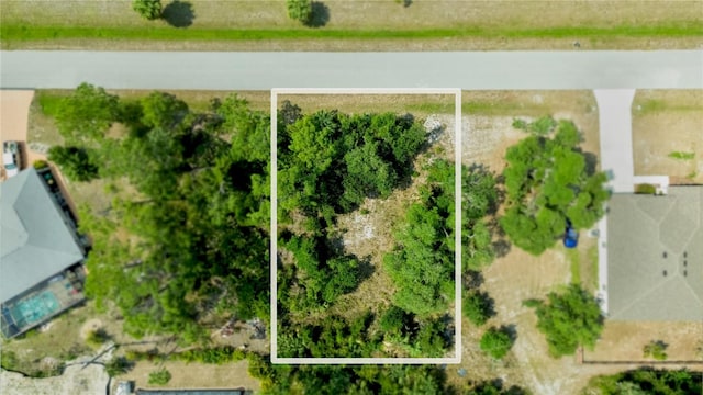 18117 Bly Ave, Port Charlotte, FL 33948 - photo 1