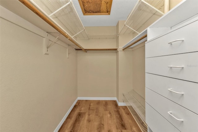 spacious closet featuring light hardwood / wood-style floors