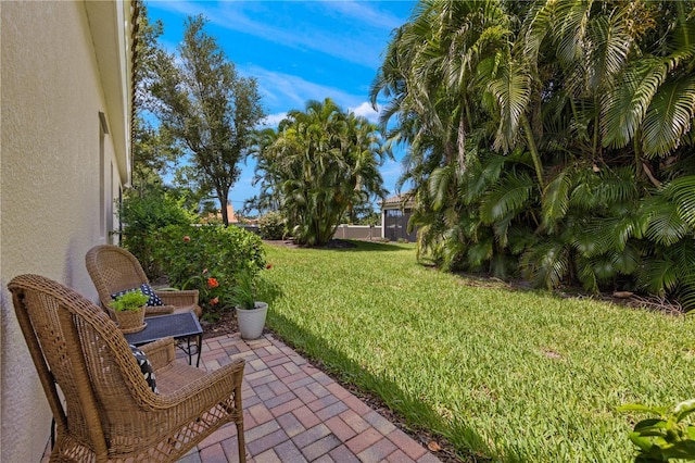 view of yard with a patio