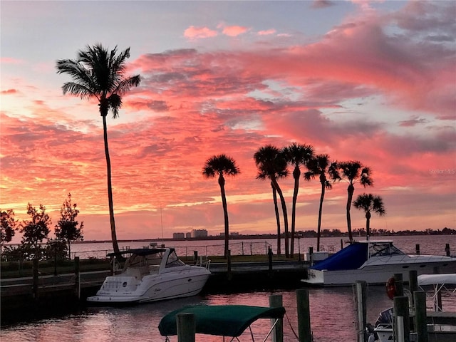 property view of water featuring a dock