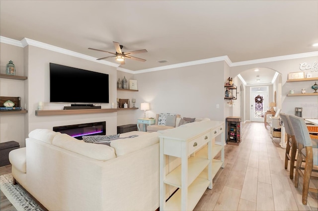 living room featuring ceiling fan, light wood-type flooring, and crown molding