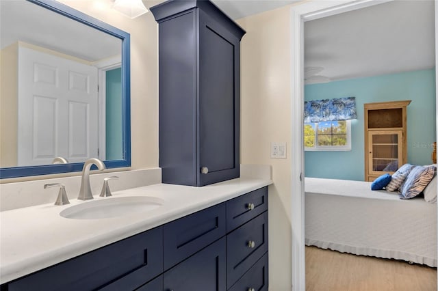 bathroom with vanity and wood-type flooring