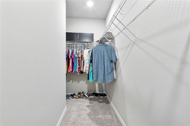 spacious closet with carpet