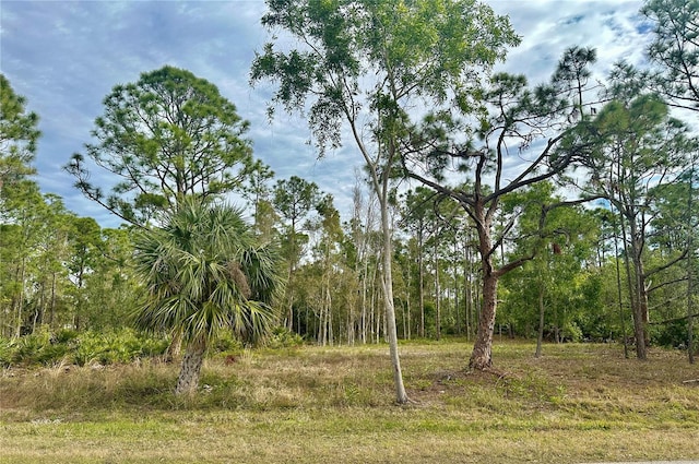 12276 Paramount Dr, Punta Gorda FL, 33955 land for sale