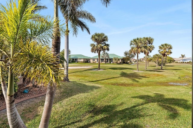 view of property's community with a lawn