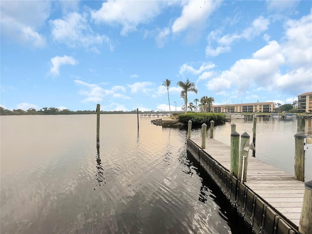 dock area with a water view