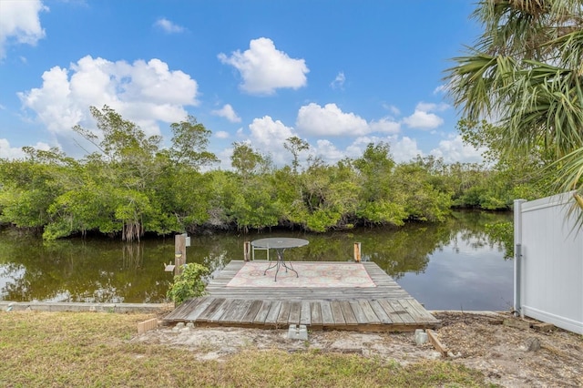 dock area with a water view