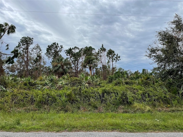 Bodmin Ln, North Port FL, 34291 land for sale