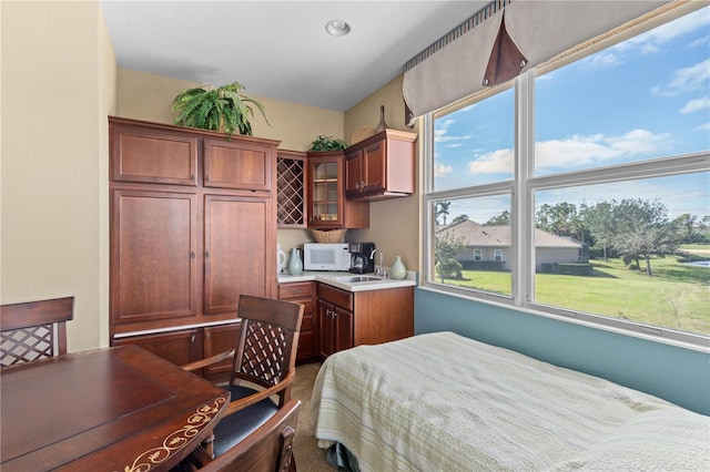 bedroom featuring multiple windows and sink