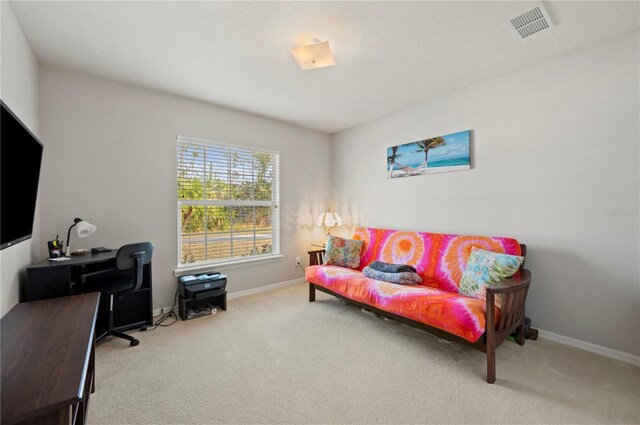 view of carpeted home office