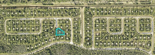 2154 Melba Ct, Lehigh Acres FL, 33972 land for sale