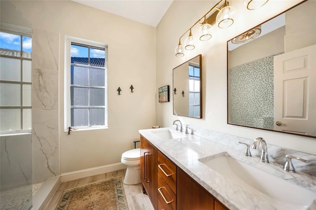 bathroom with a wealth of natural light, toilet, vanity, and walk in shower