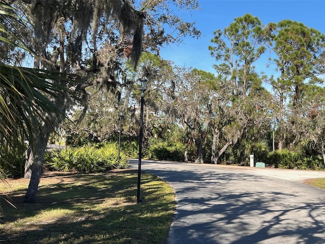 view of road