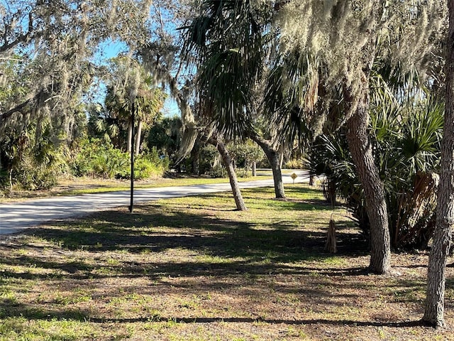 23465 Harborview Rd Unit 1006, Punta Gorda, FL 33980 - photo 35