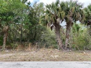 3399 Jewel St, Port Charlotte FL, 33948 land for sale