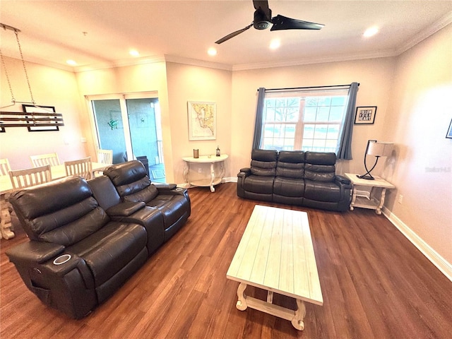 living room featuring ceiling fan, ornamental molding, and dark wood-type flooring