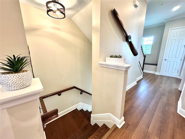 stairway featuring wood-type flooring