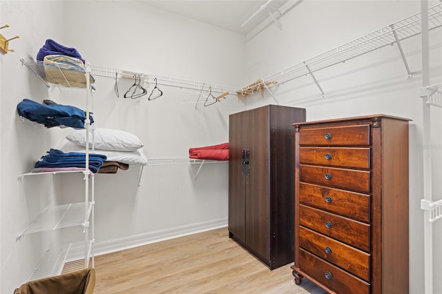 228 Nicholas Pkwy E, Cape Coral, FL 33990 - spacious closet with light wood-style flooring
