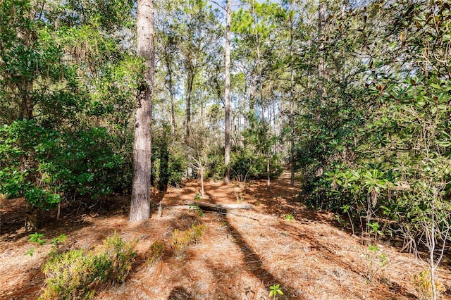 view of local wilderness