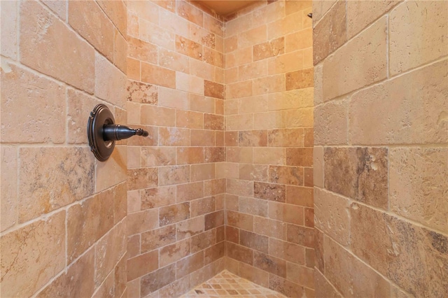 interior details featuring a tile shower