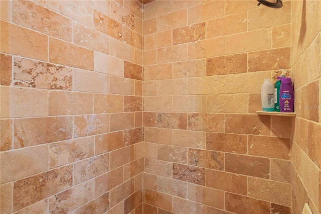 interior details featuring a tile shower