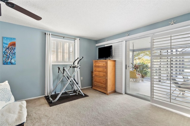 workout room with light carpet, a textured ceiling, and a wealth of natural light