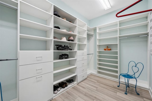 spacious closet with light hardwood / wood-style flooring