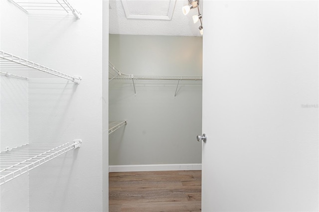 spacious closet with wood-type flooring