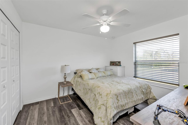 bedroom with ceiling fan, a closet, and dark hardwood / wood-style floors