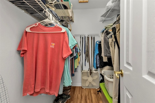 spacious closet with wood-type flooring