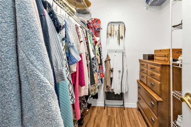 spacious closet featuring light hardwood / wood-style flooring