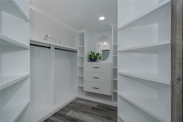 spacious closet with dark wood-type flooring