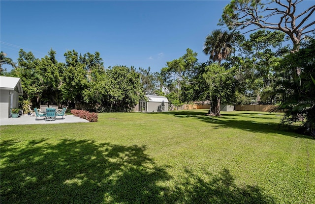 view of yard featuring a patio area and a storage shed