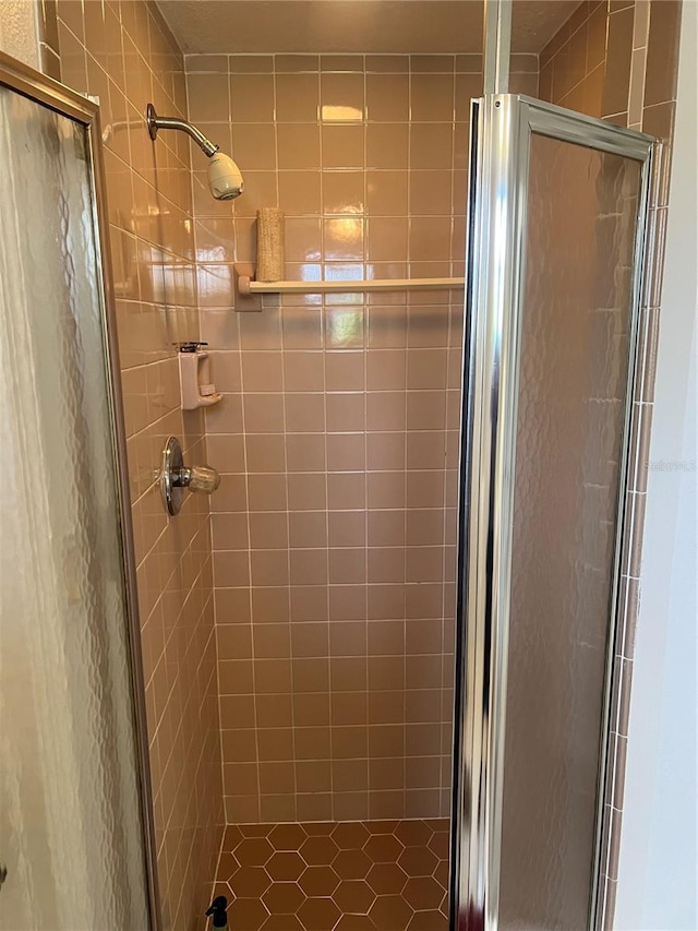 bathroom featuring a shower with shower door