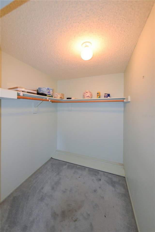 spacious closet with carpet floors