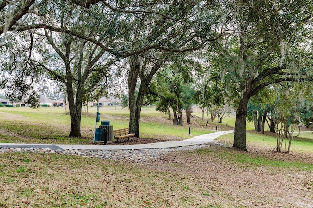 view of community featuring a lawn