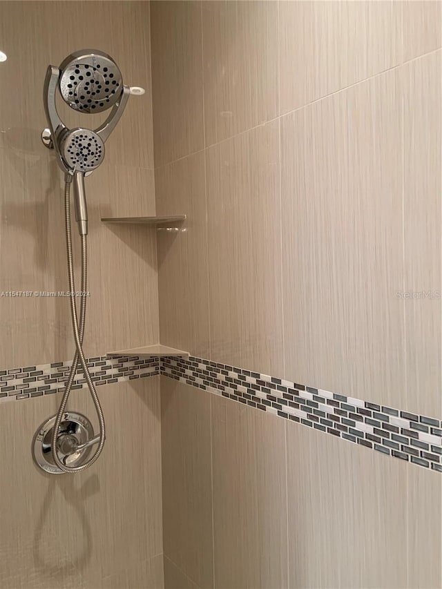 interior details with tiled shower