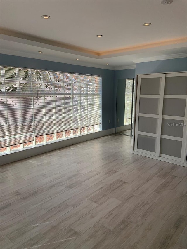 unfurnished room with a raised ceiling and wood-type flooring