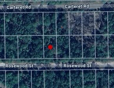 212 Rosewood St, Georgetown FL, 32139 land for sale