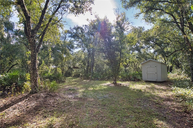 view of yard featuring a storage unit