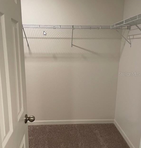 spacious closet featuring dark colored carpet