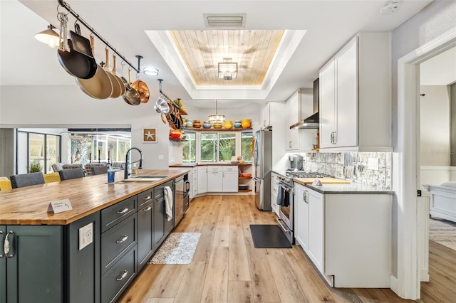 kitchen featuring white cabinetry, sink, decorative backsplash, a tray ceiling, and stainless steel appliances